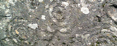 Muster auf Stein